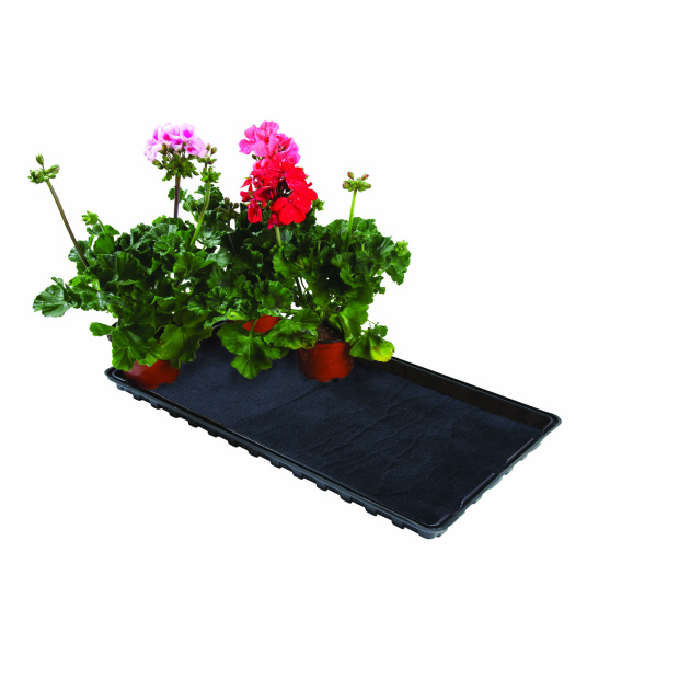 ACD Mat geeft plant water