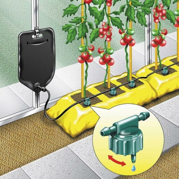 ACD Druppelkit met 6 druppelaars